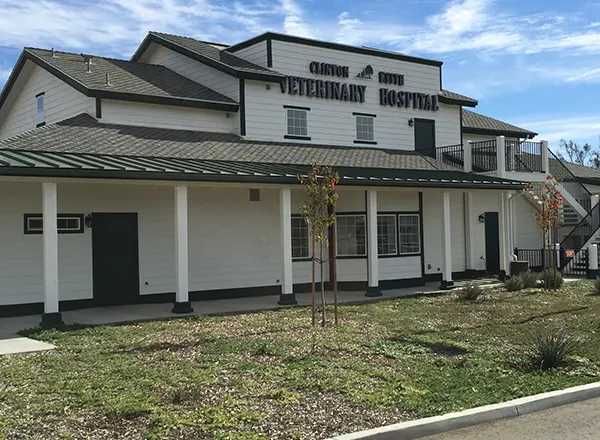 Shingle Roof Installation on Newly Constructed Veterinary Hospital